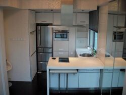 2 RVG (D9), Apartment #453862961